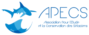 apecs_logo_horizontal_plein_bleu-YBgeEwlOWvTZenLV